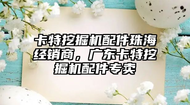 卡特挖掘機配件珠海經(jīng)銷商，廣東卡特挖掘機配件專賣