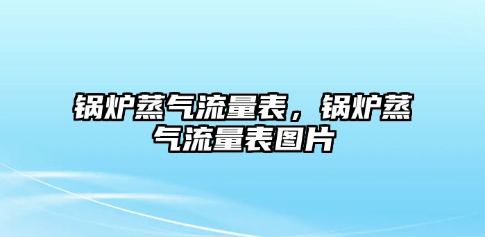 鍋爐蒸氣流量表，鍋爐蒸氣流量表圖片