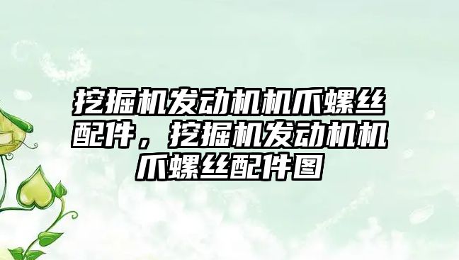 挖掘機發(fā)動機機爪螺絲配件，挖掘機發(fā)動機機爪螺絲配件圖