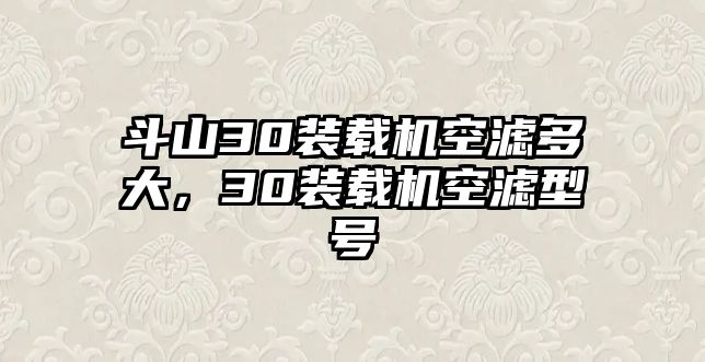 斗山30裝載機空濾多大，30裝載機空濾型號