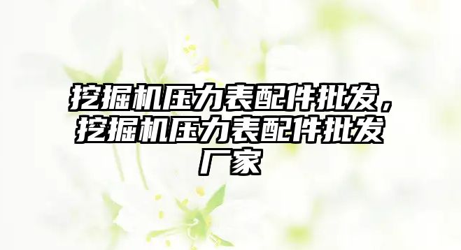 挖掘機壓力表配件批發(fā)，挖掘機壓力表配件批發(fā)廠家