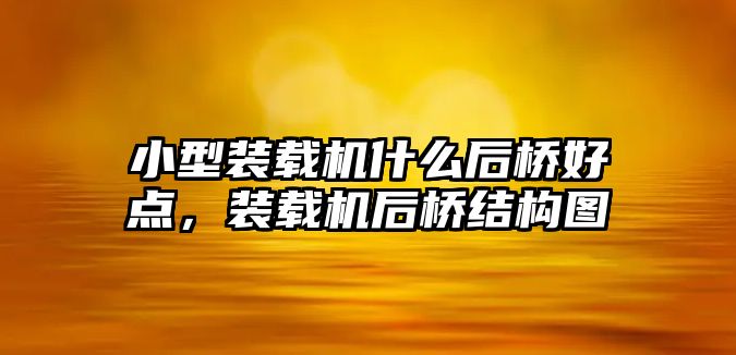 小型裝載機什么后橋好點，裝載機后橋結(jié)構(gòu)圖