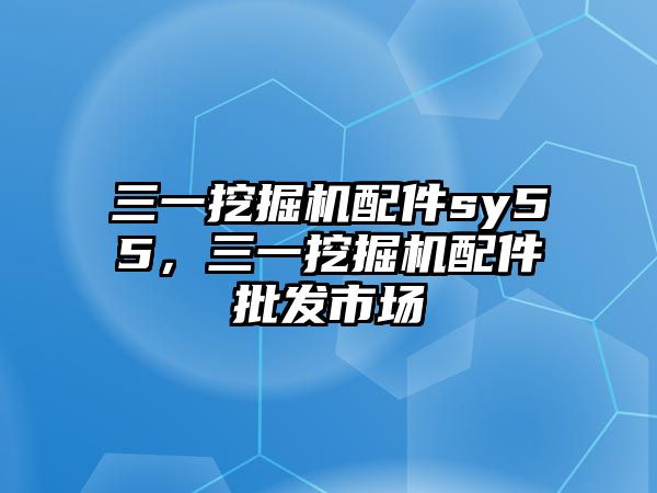 三一挖掘機配件sy55，三一挖掘機配件批發(fā)市場