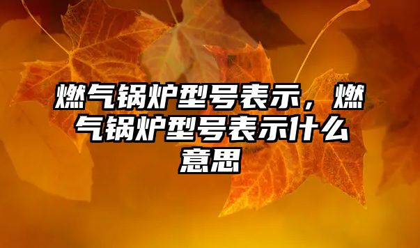 燃?xì)忮仩t型號表示，燃?xì)忮仩t型號表示什么意思