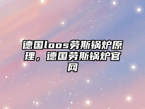 德國loos勞斯鍋爐原理，德國勞斯鍋爐官網(wǎng)