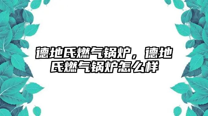 德地氏燃?xì)忮仩t，德地氏燃?xì)忮仩t怎么樣