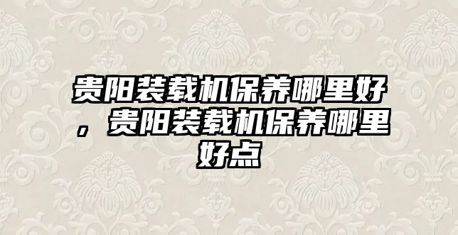 貴陽裝載機保養(yǎng)哪里好，貴陽裝載機保養(yǎng)哪里好點