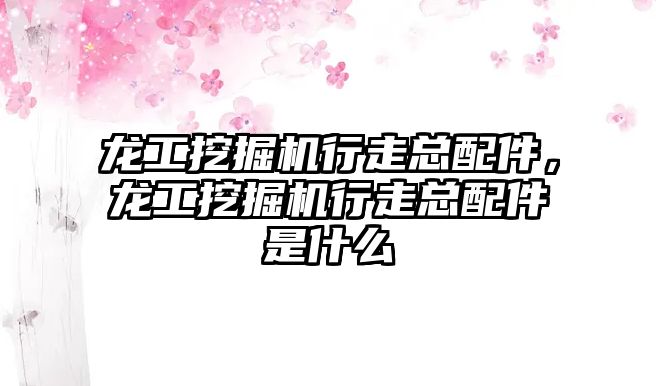 龍工挖掘機(jī)行走總配件，龍工挖掘機(jī)行走總配件是什么