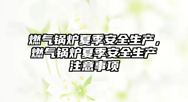 燃?xì)忮仩t夏季安全生產(chǎn)，燃?xì)忮仩t夏季安全生產(chǎn)注意事項(xiàng)