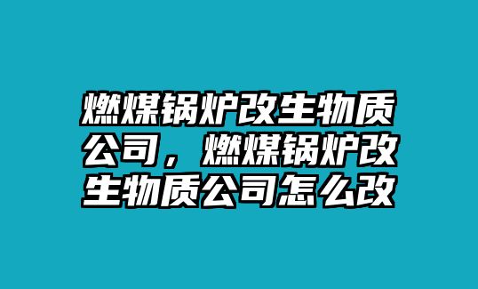 燃煤鍋爐改生物質(zhì)公司，燃煤鍋爐改生物質(zhì)公司怎么改