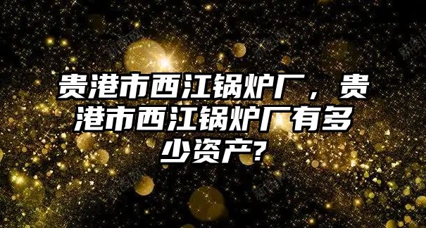 貴港市西江鍋爐廠，貴港市西江鍋爐廠有多少資產(chǎn)?