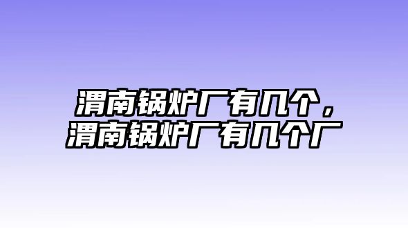 渭南鍋爐廠有幾個，渭南鍋爐廠有幾個廠