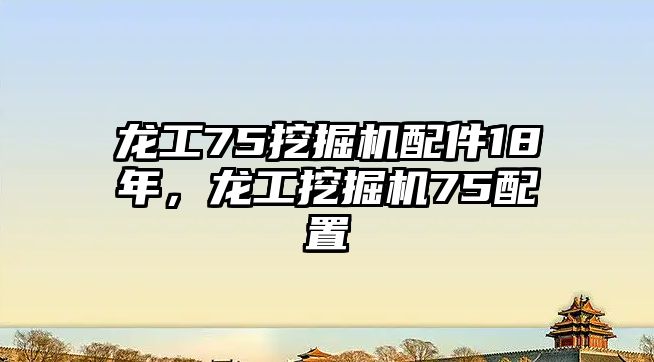 龍工75挖掘機(jī)配件18年，龍工挖掘機(jī)75配置