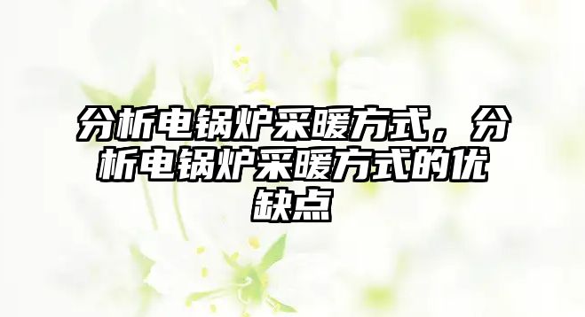 分析電鍋爐采暖方式，分析電鍋爐采暖方式的優(yōu)缺點(diǎn)