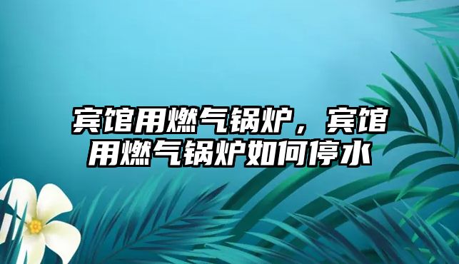 賓館用燃?xì)忮仩t，賓館用燃?xì)忮仩t如何停水