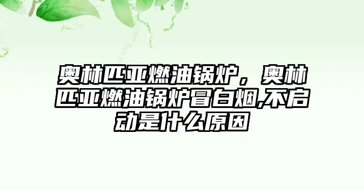 奧林匹亞燃油鍋爐，奧林匹亞燃油鍋爐冒白煙,不啟動是什么原因