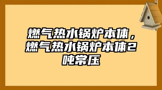 燃?xì)鉄崴仩t本體，燃?xì)鉄崴仩t本體2噸常壓