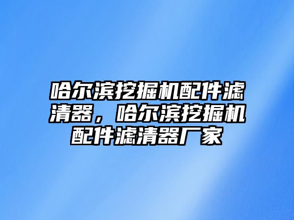 哈爾濱挖掘機配件濾清器，哈爾濱挖掘機配件濾清器廠家