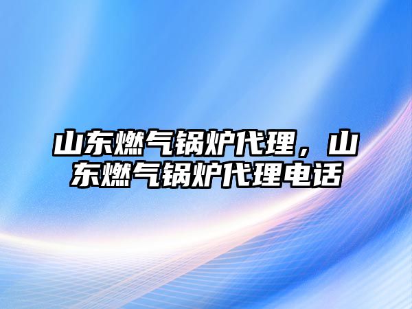 山東燃?xì)忮仩t代理，山東燃?xì)忮仩t代理電話