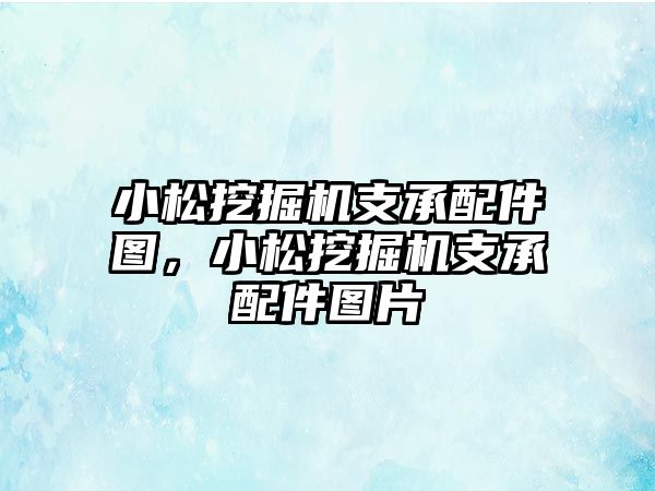 小松挖掘機支承配件圖，小松挖掘機支承配件圖片