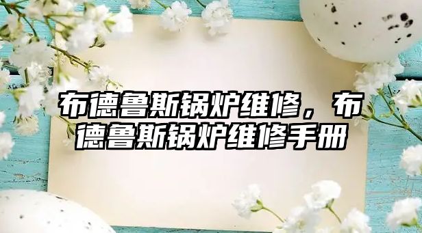 布德魯斯鍋爐維修，布德魯斯鍋爐維修手冊