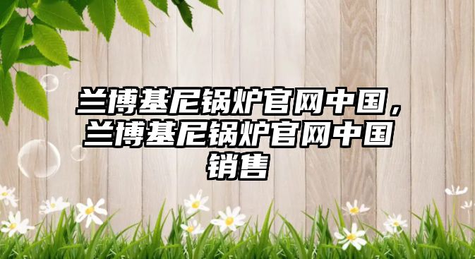 蘭博基尼鍋爐官網(wǎng)中國，蘭博基尼鍋爐官網(wǎng)中國銷售