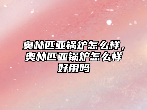 奧林匹亞鍋爐怎么樣，奧林匹亞鍋爐怎么樣好用嗎