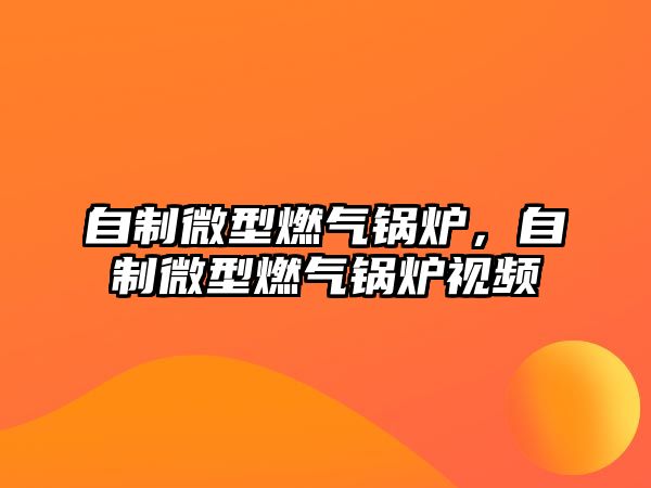 自制微型燃?xì)忮仩t，自制微型燃?xì)忮仩t視頻