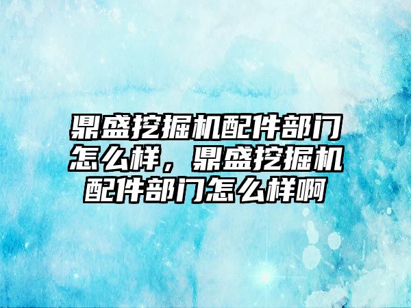 鼎盛挖掘機配件部門怎么樣，鼎盛挖掘機配件部門怎么樣啊