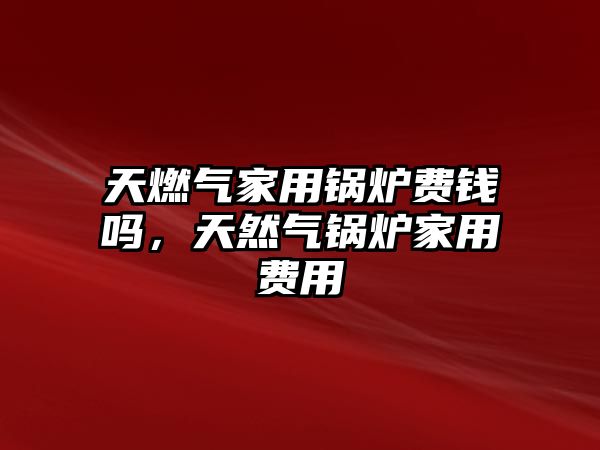 天燃?xì)饧矣缅仩t費(fèi)錢(qián)嗎，天然氣鍋爐家用費(fèi)用