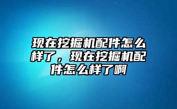 現(xiàn)在挖掘機(jī)配件怎么樣了，現(xiàn)在挖掘機(jī)配件怎么樣了啊