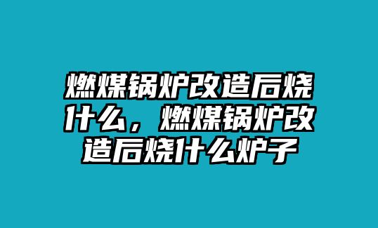 燃煤鍋爐改造后燒什么，燃煤鍋爐改造后燒什么爐子