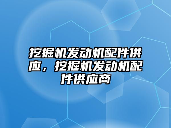 挖掘機發(fā)動機配件供應(yīng)，挖掘機發(fā)動機配件供應(yīng)商