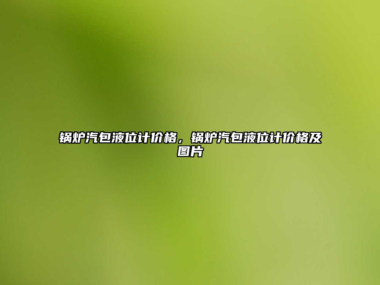 鍋爐汽包液位計價格，鍋爐汽包液位計價格及圖片