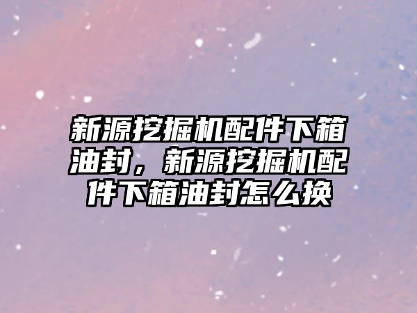 新源挖掘機配件下箱油封，新源挖掘機配件下箱油封怎么換