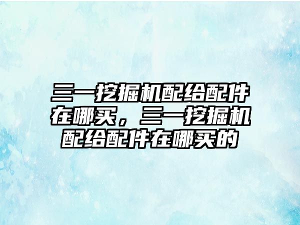 三一挖掘機配給配件在哪買，三一挖掘機配給配件在哪買的