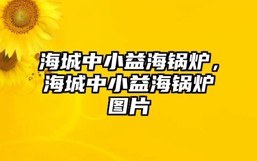 海城中小益海鍋爐，海城中小益海鍋爐圖片