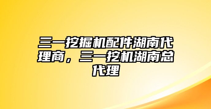 三一挖掘機(jī)配件湖南代理商，三一挖機(jī)湖南總代理