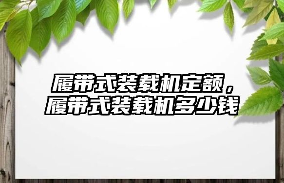 履帶式裝載機定額，履帶式裝載機多少錢