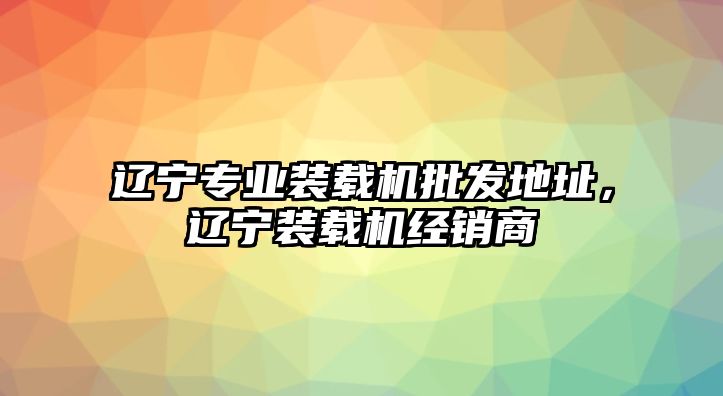 遼寧專(zhuān)業(yè)裝載機(jī)批發(fā)地址，遼寧裝載機(jī)經(jīng)銷(xiāo)商