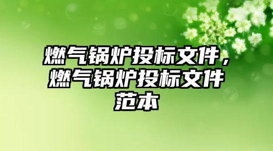 燃?xì)忮仩t投標(biāo)文件，燃?xì)忮仩t投標(biāo)文件范本