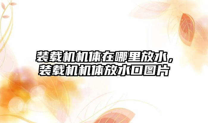 裝載機機體在哪里放水，裝載機機體放水口圖片