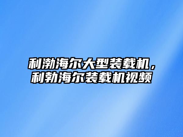 利渤海爾大型裝載機，利勃海爾裝載機視頻