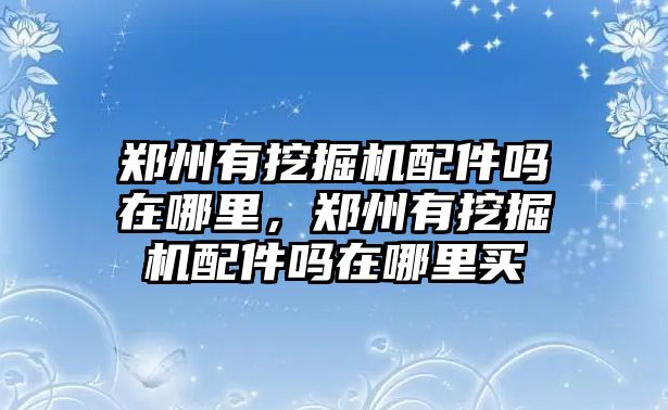 鄭州有挖掘機(jī)配件嗎在哪里，鄭州有挖掘機(jī)配件嗎在哪里買