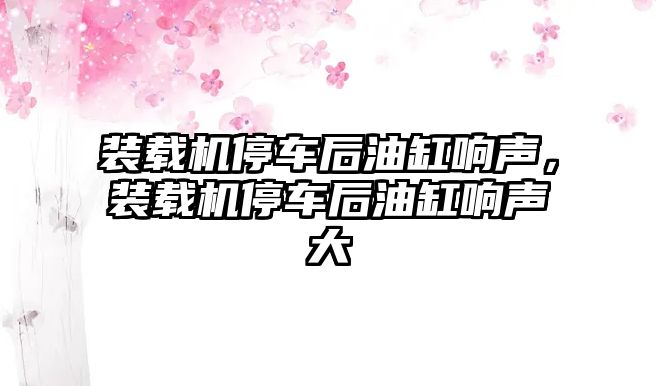 裝載機停車后油缸響聲，裝載機停車后油缸響聲大