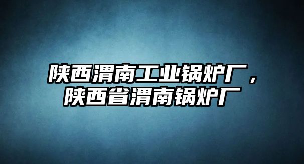 陜西渭南工業(yè)鍋爐廠(chǎng)，陜西省渭南鍋爐廠(chǎng)