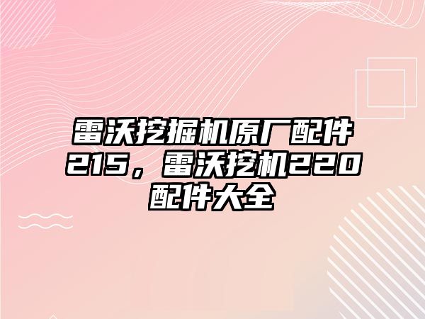 雷沃挖掘機原廠配件215，雷沃挖機220配件大全