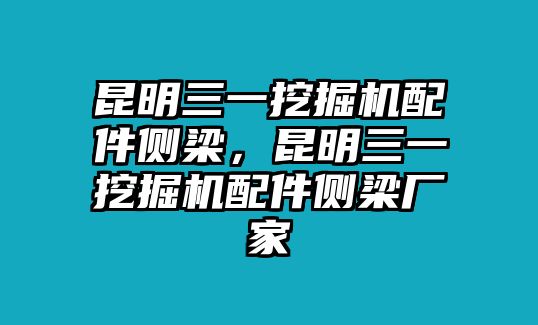 昆明三一挖掘機(jī)配件側(cè)梁，昆明三一挖掘機(jī)配件側(cè)梁廠家