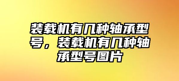 裝載機有幾種軸承型號，裝載機有幾種軸承型號圖片