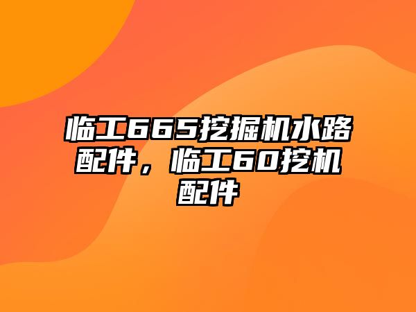 臨工665挖掘機水路配件，臨工60挖機配件